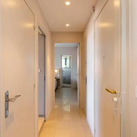 Centrally Located Flat With Sea View Terrasse Apartment Cannes